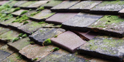 Goldington roof repair costs